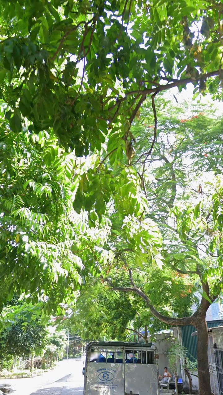 Đất mặt phố Tân Bình, Hải Dương 66m² giá 3.3 tỷ - Đầu tư sinh lời ngay!