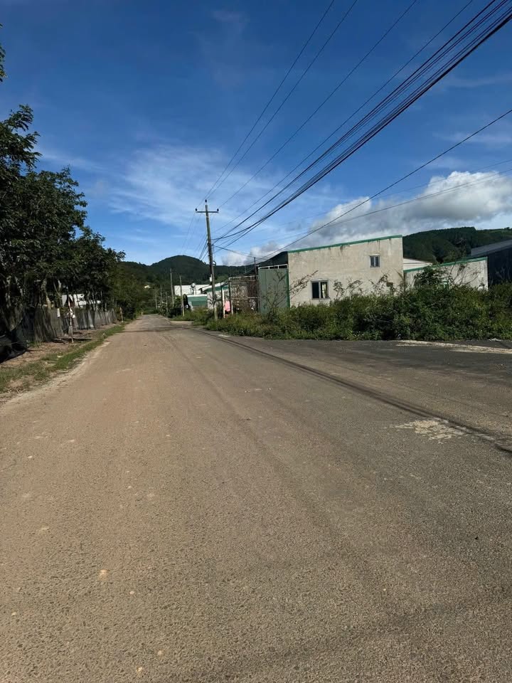 Bán đất đẹp khu tái định cư Phú Hội, Đức Trọng, Lâm Đồng 100m² - Giá chỉ 900 triệu