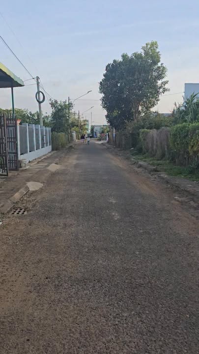 Đất nền đường Tôn Thất Tùng, Chư Sê, 3136m² - Giá chỉ 2.55 tỷ!