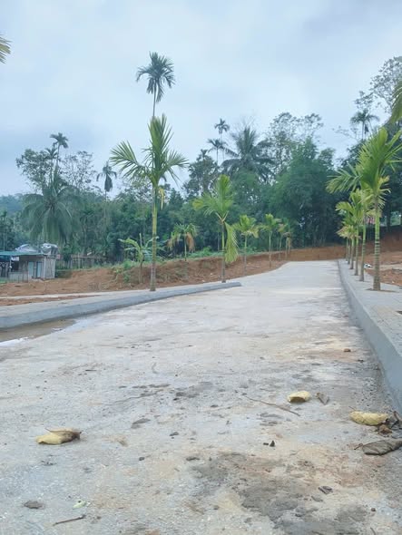 Đất nền Ngọc Lặc 150m² giá chỉ 1xx triệu - Cơ hội đầu tư không thể bỏ lỡ!