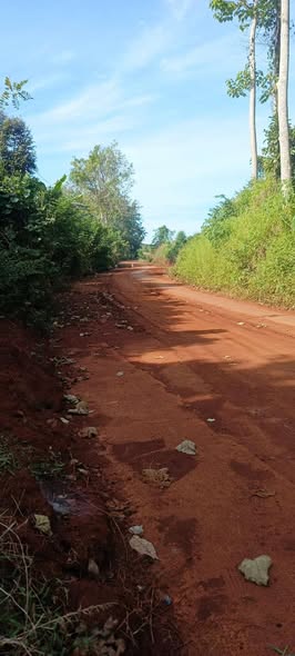 Đất nền Tân Lợi, Đồng Phú 1,6ha giá 2,5 tỷ - Đầu tư sinh lời ngay!