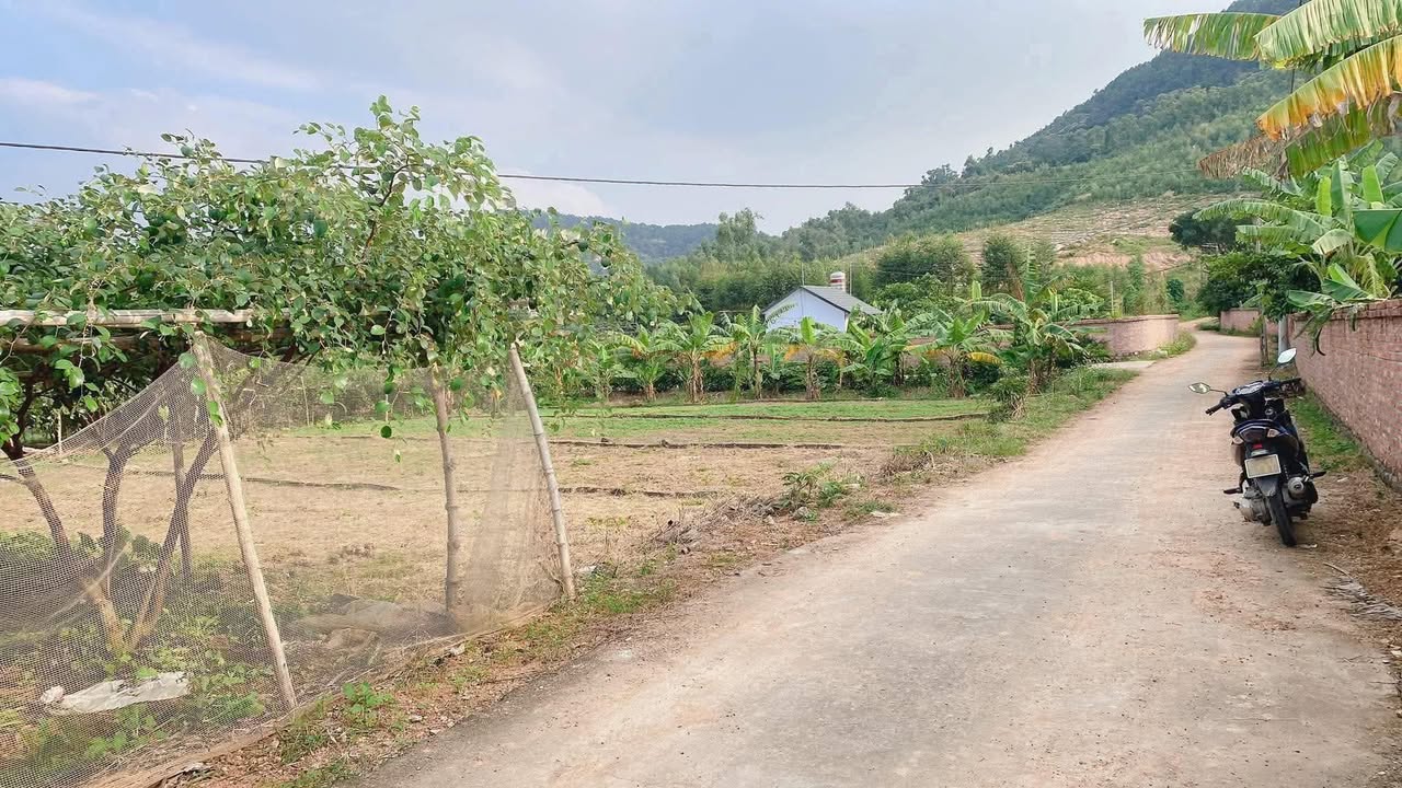 Đất thổ cư tại Lê Lợi, Trần Hưng Đạo, Hải Dương 174m² - Thích hợp xây nhà vườn nghỉ dưỡng!