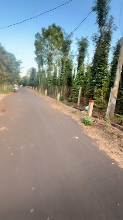 Đất vườn 1.100m² xã Bình Giã, Châu Đức giá chỉ 1.37 tỷ - Tiềm năng đầu tư lớn!