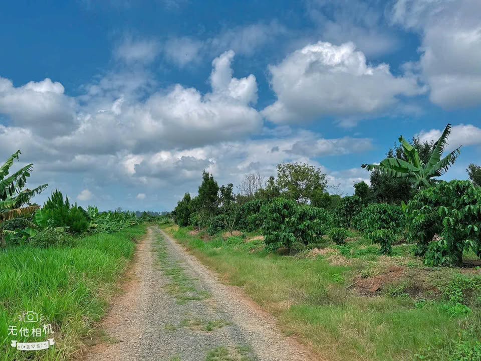 Đất thổ cư Lộc Đức Bảo Lâm 522m² giá 800 triệu - Sổ hồng chính chủ!