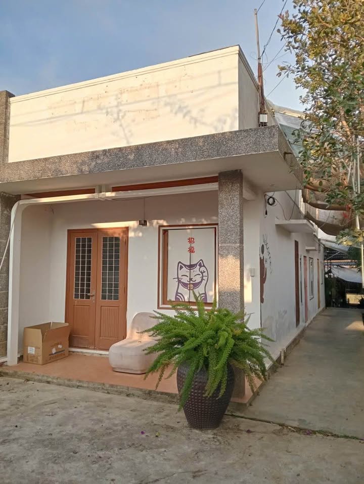 Cho thuê nhà sân vườn Đà Lạt 1000m² giá 13 triệu - Không gian lý tưởng cho homestay!