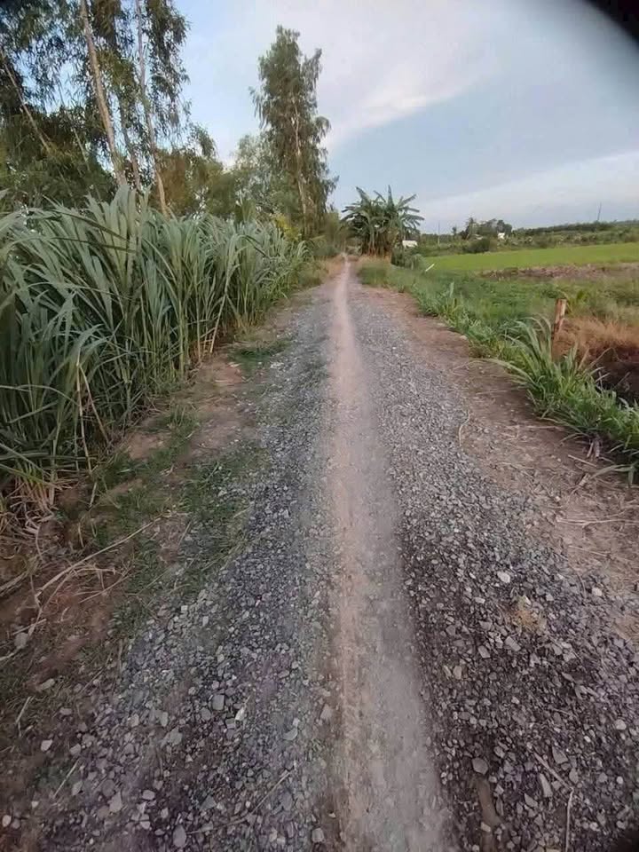 Đất nền 2 công xã Tân Lộc, Tam Bình 1 tỷ - Đầu tư sinh lời ngay!