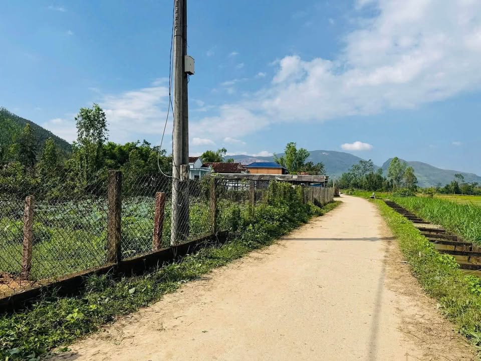 Đất nền Thọ Lộc 2 - An Nhơn 186m² giá chỉ 300 triệu - Sổ đỏ chính chủ!