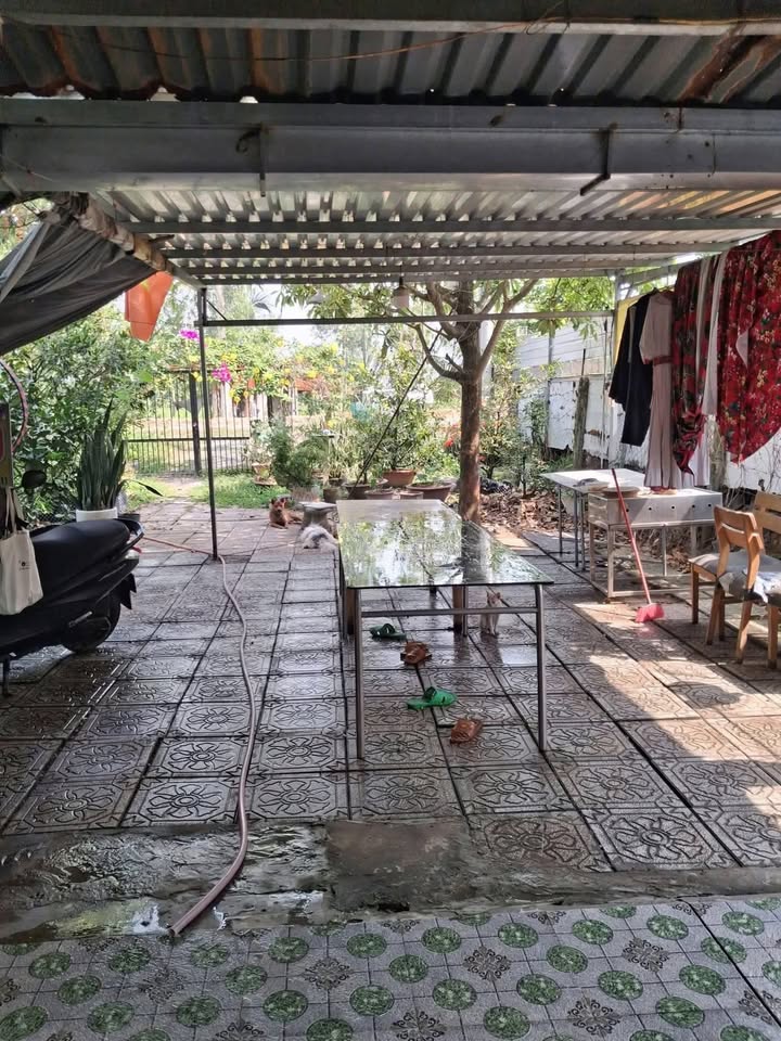 Nhà vườn cho thuê tại Bình Mỹ, Củ Chi 527m² - Không gian xanh lý tưởng!