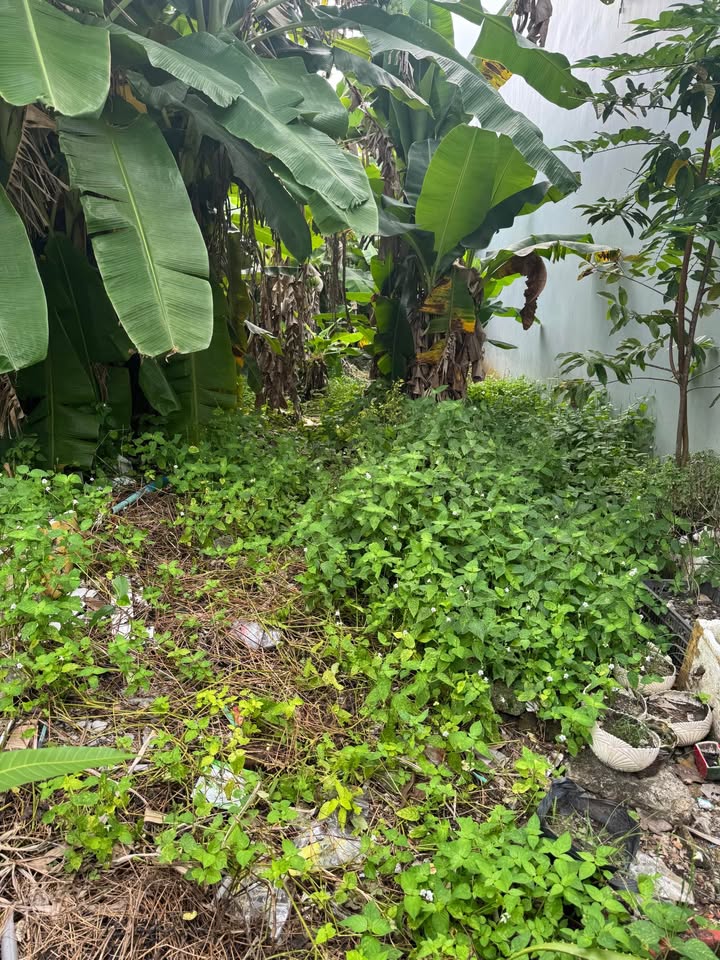 Đất nền đường Phan Văn Xoàn, Tân Xuyên 96.75m² giá 1.05 tỷ - Đầu tư sinh lợi ngay!