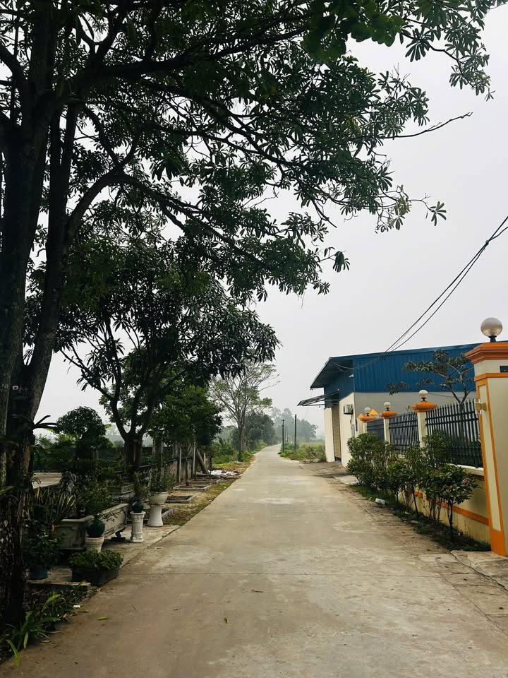 Đất An Bình - An Tảo, Hưng Yên 80m² chỉ 2 tỷ - Vị trí đẹp, tiện ích đầy đủ!