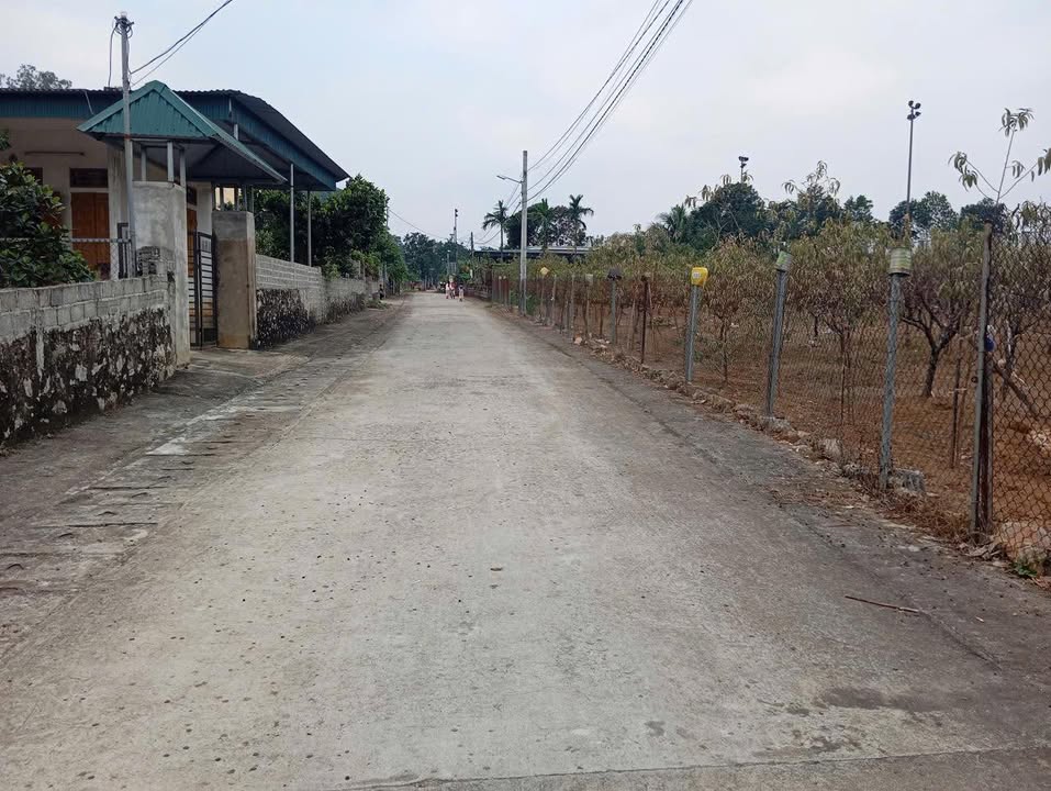 Đất nền Đông Sơn Tam Điệp 100m² giá chỉ 6xx triệu - Cơ hội đầu tư sinh lời!