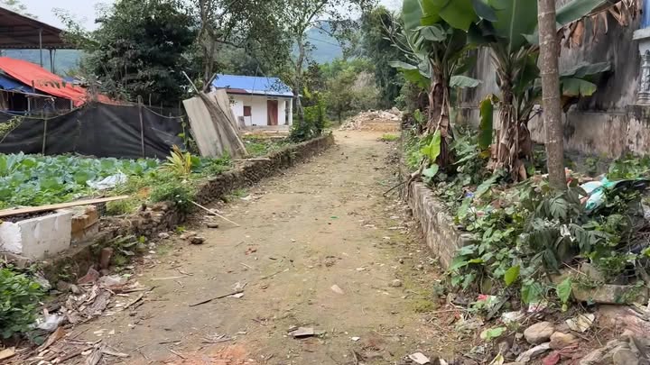 Đất nền Cát Nê Đại Từ 2000m² giá 3 tỷ - Cơ hội đầu tư hiếm có!