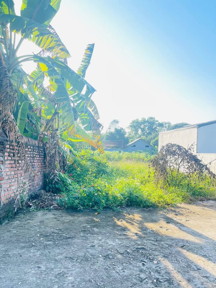 Đất nền Chu Hóa - 108m² giá 950 triệu - Đầu tư tài chính sinh lời!