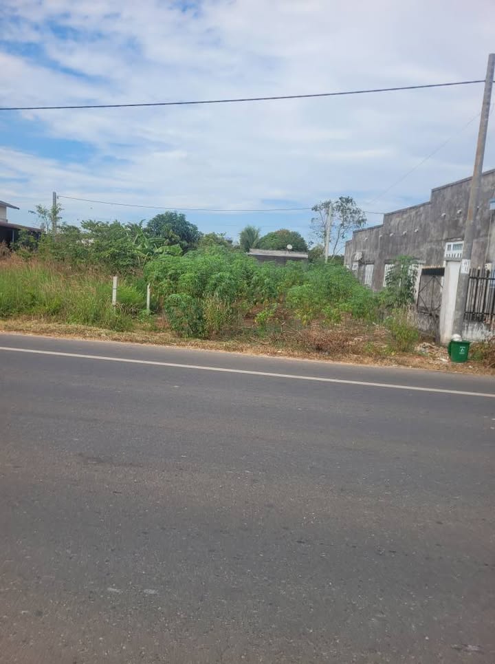 Đất nền Hòa Hội, Xuyên Mộc 243m² giá 2.25 tỷ - Đầu tư sinh lời ngay!