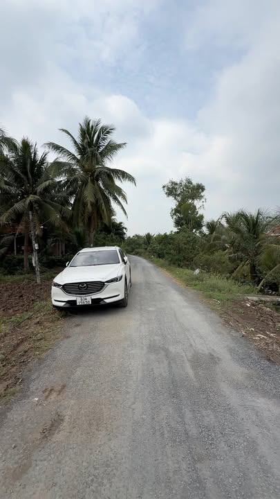 Đất thổ cư An Thạnh Thủy, Chợ Gạo 129.5m² giá 290 triệu - Đầu tư sinh lời ngay!