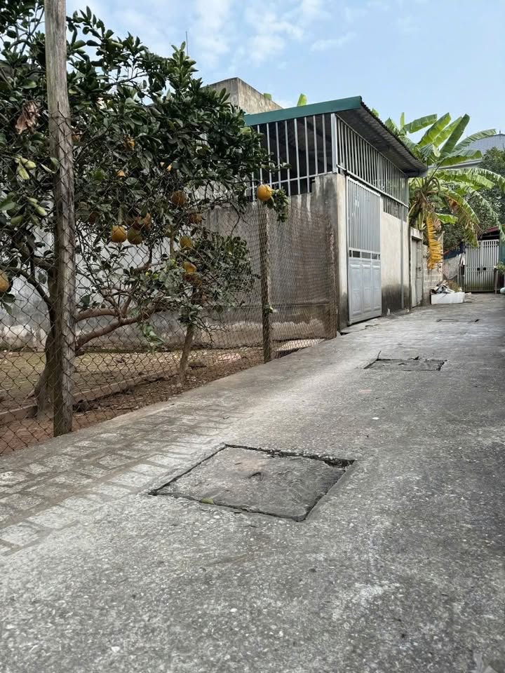 Đất nền 90m² tại Sài Sơn, Quốc Oai - Giá chỉ 1x triệu/m², vuông vắn xây dựng thoải mái!