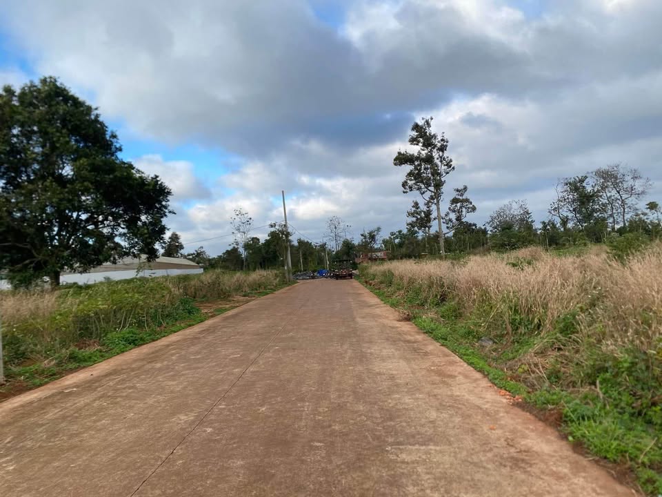 Đất thổ cư Cư Suê - Tỉnh lộ 8, 105m² giá chỉ 990 triệu - Đầu tư sinh lời ngay!