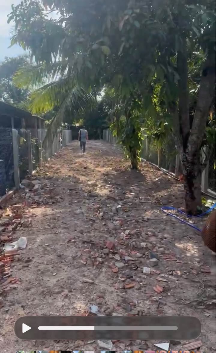 Đất nền khu phố 13, Phường 4, Tây Ninh 272m² - Giá thỏa thuận cho nhà đầu tư!