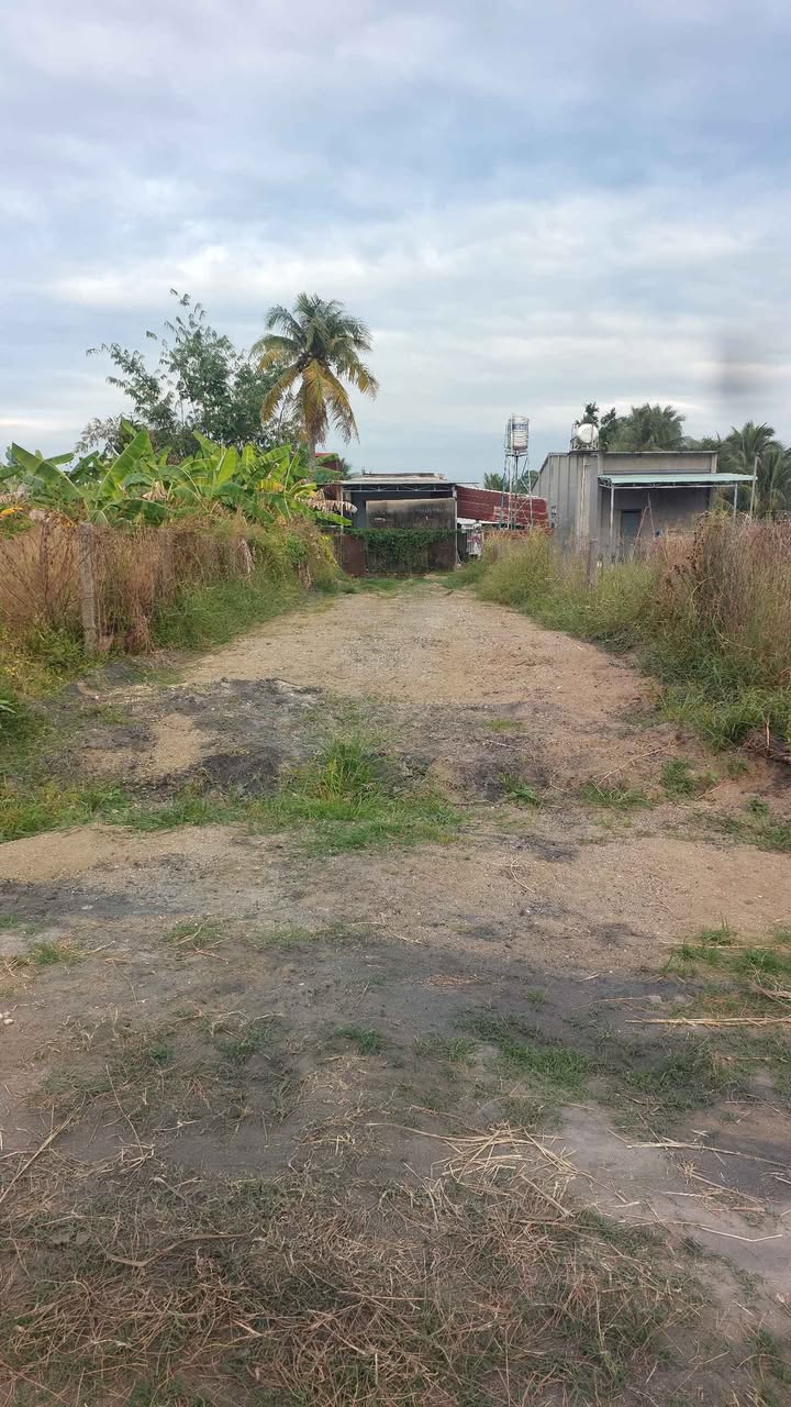 Đất nền Hẻm 38 Trần Phú, Long Hải 186m² - Giá chỉ 22.32 tỷ!