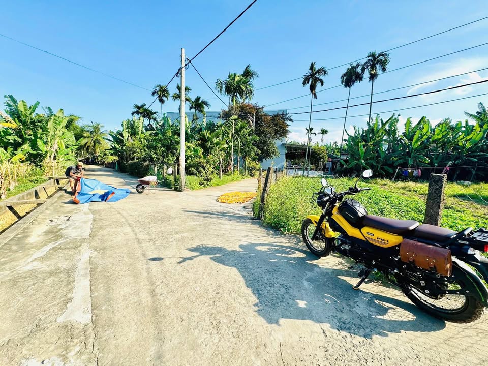 Đất nền Hòa Nhơn Đà Nẵng 250m² giá 1 tỷ - Đầu tư sinh lời ngay!