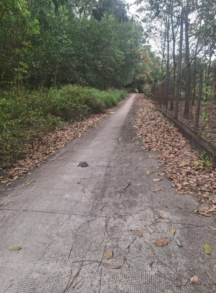 Đất nền chính chủ Tân Hiệp, Biên Hòa 110m² giá thỏa thuận - Cơ hội đầu tư sinh lời!