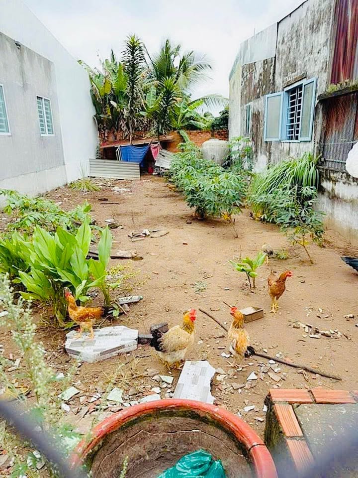 Đất nền Tân Ngãi, TP Vĩnh Long 128m² - Tiềm năng đầu tư vượt trội!