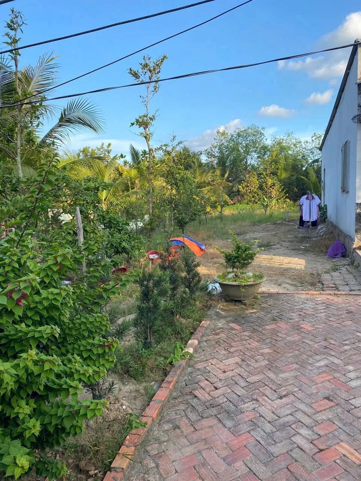 Đất liền kề xã An Phước, Mang Thít 516m² chỉ 500 triệu - Cơ hội đầu tư hấp dẫn!