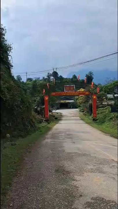 Farm Tằng Loỏng Lào Cai 15.841m² giá 1 tỷ - Cơ hội đầu tư hấp dẫn!