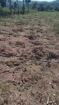 Đất nền Đan Phượng 9500m² giá 2.4 tỷ - Cơ hội đầu tư hấp dẫn!