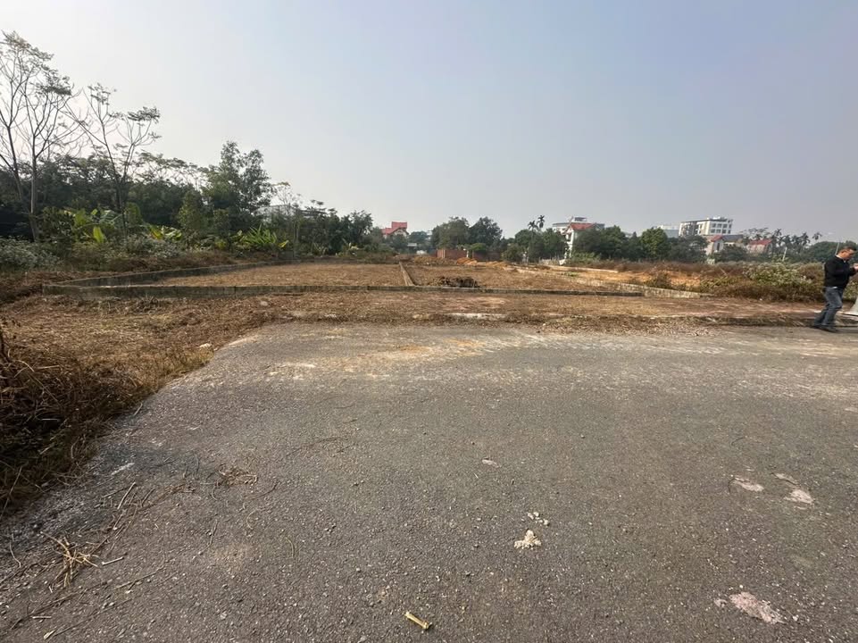 Đất nền TĐC Bình Yên Thạch Thất 240m² giá 11.04 tỷ - Cơ hội đầu tư hiếm có!