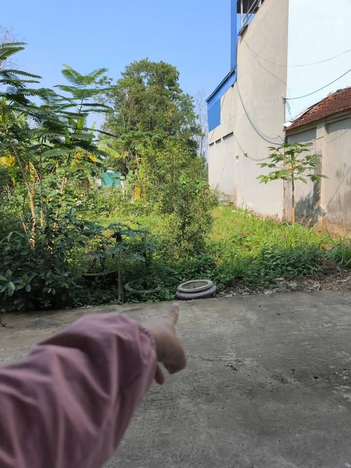 Đất nền 205m² tại Thị trấn Liên Quan - Vị trí đẹp, giá tốt bất ngờ!