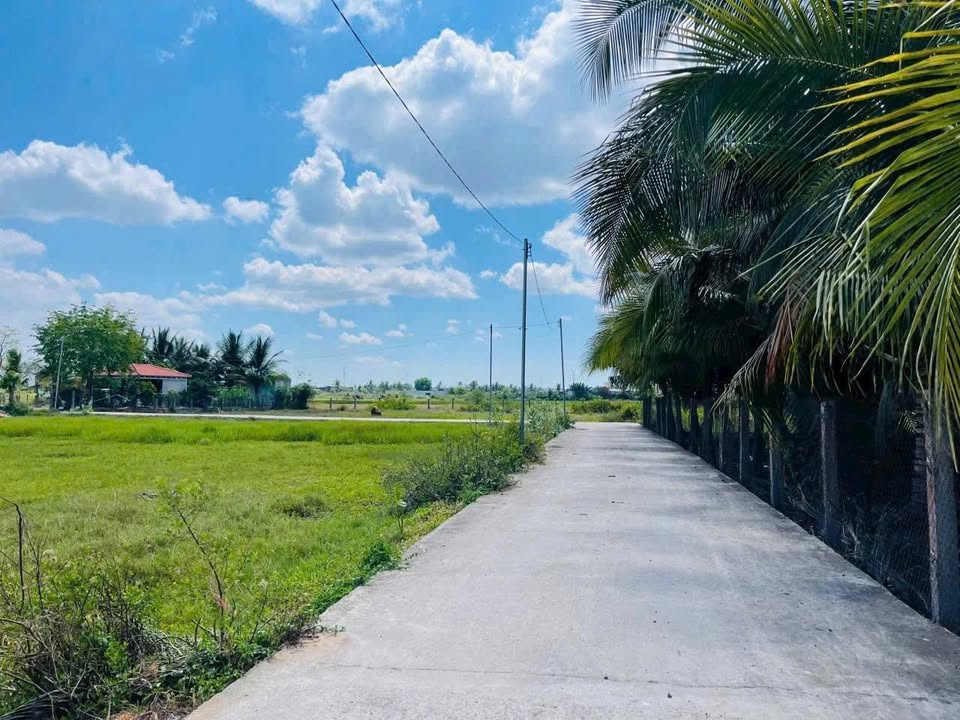 Đất CLN Hàm Liêm 1,7 sào giá 1,5 tỷ - Đầu tư sinh lời ngay!