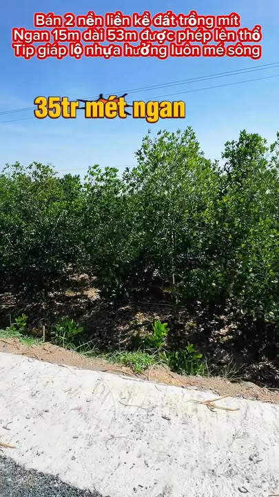 Đất nền liền kề tại xã Phú Cường, Đồng Tháp 795m² giá 8.213 tỷ - Cơ hội đầu tư tuyệt vời!