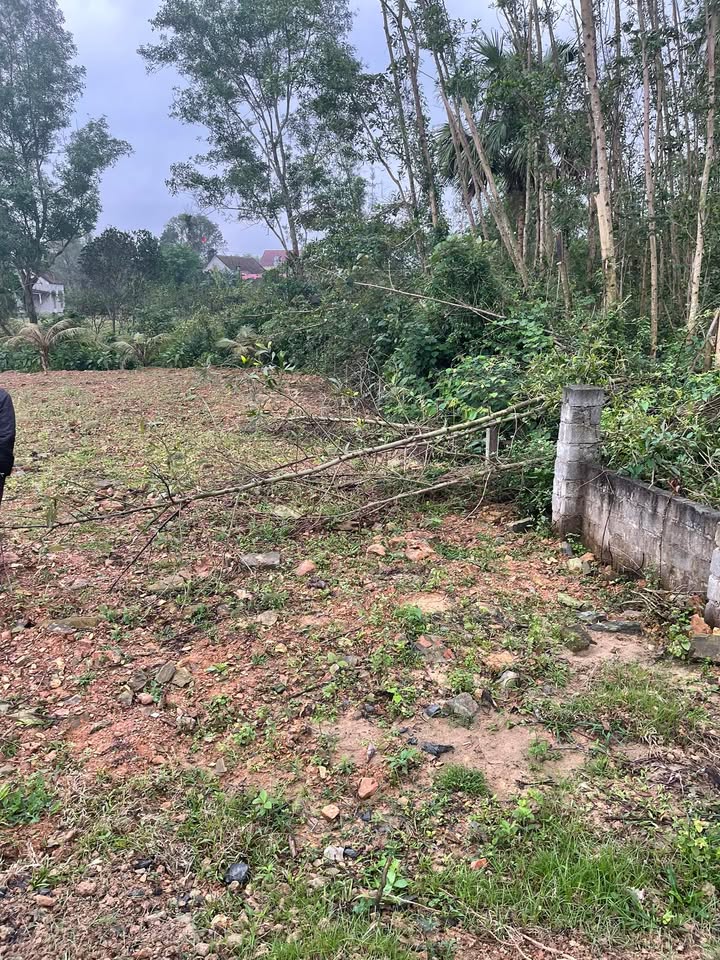 Đất thổ cư 3689m² tại Ngọc Sơn, Thạch Hà - Giá chỉ 3.689 tỷ, đầu tư sinh lời ngay!