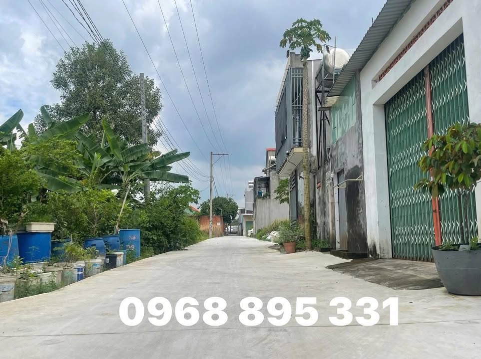Đất nền An Phước Long Thành 116,9m² giá 1,46 tỷ - Cơ hội đầu tư hiếm có!