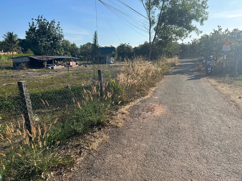 Đất thổ cư 200m² tại Thạnh Tây, Tân Biên, Tây Ninh - Giá chỉ 50 triệu!