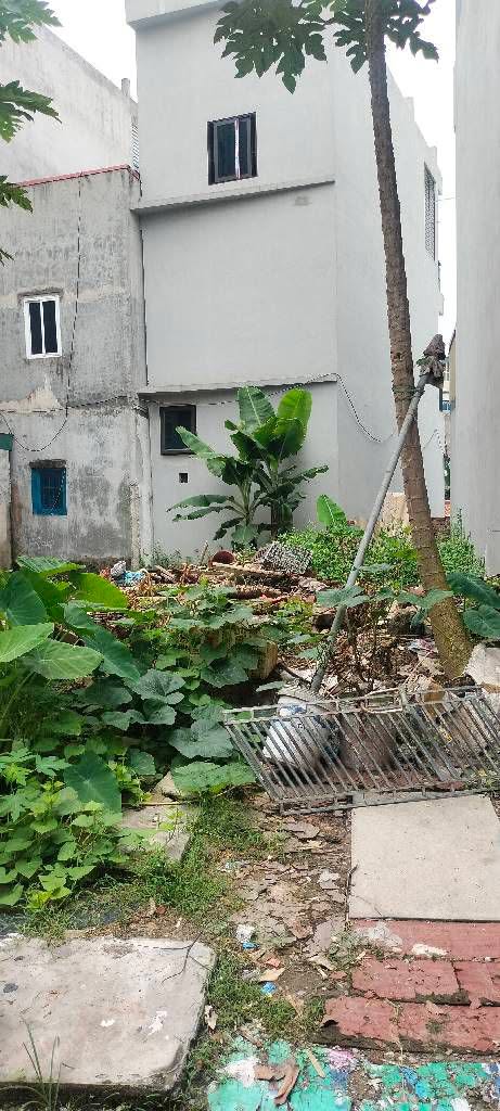 Đất nền Phúc Lợi Long Biên 48.3m² giá 6.2 tỷ - Lô góc ngõ rộng, pháp lý chuẩn!