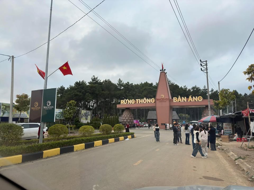 Đất nền đẹp tại Rừng thông Bản Áng, Mộc Châu 150m² - Kinh doanh lý tưởng!