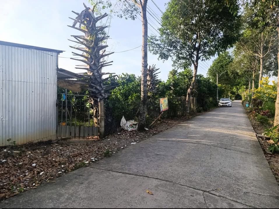 Đất nền mặt tiền Phường Đông Thành Vĩnh Long 180m² giá 750 triệu - Thích hợp kinh doanh!