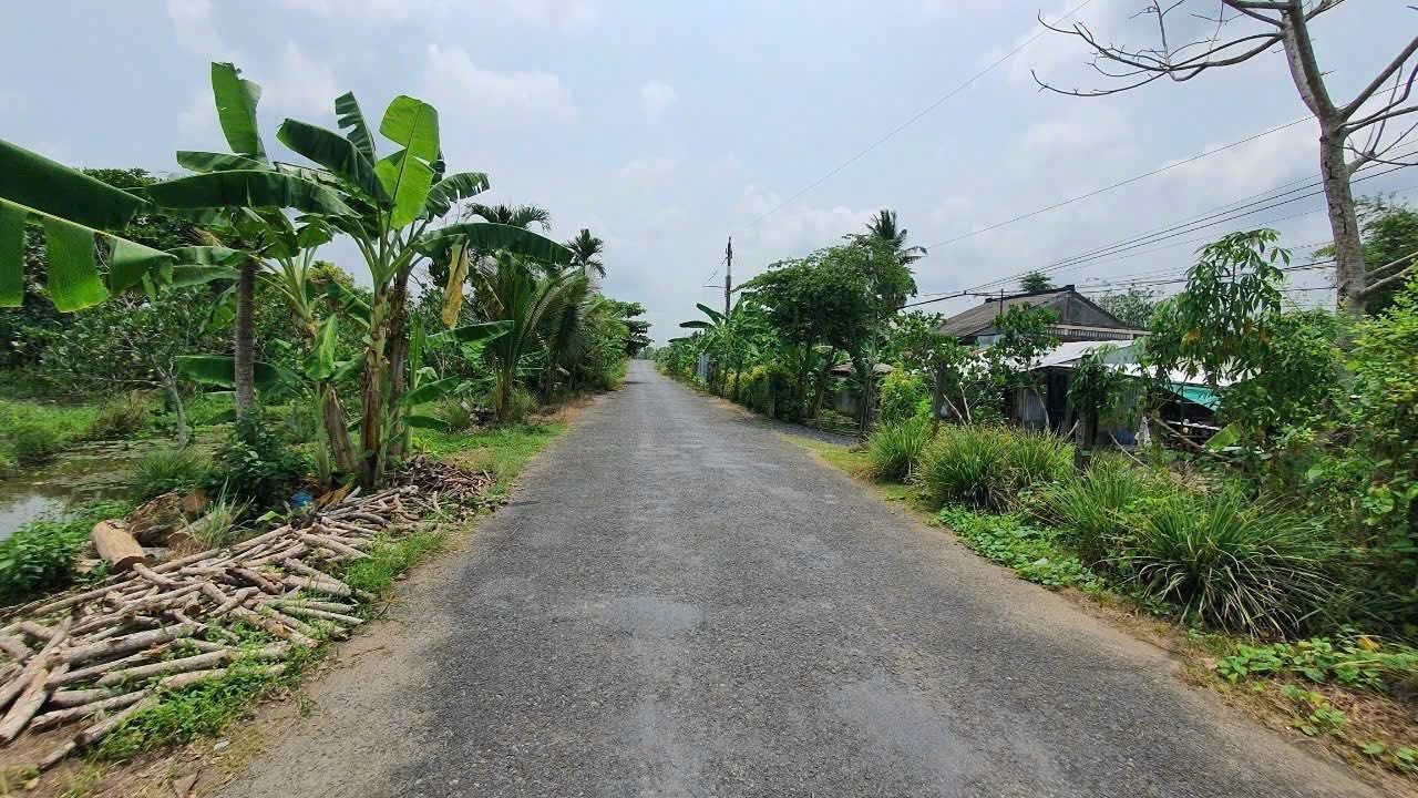 Đất nền Trường Long - Phong Điền 1909m² giá 2.5 tỷ - Mặt tiền nhựa ô tô vi vu!