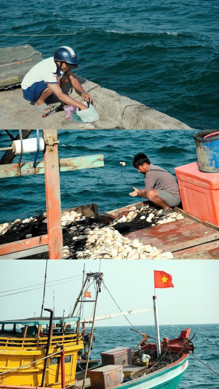 Đất vườn Giai Xuân 827m² giá 1.95 tỷ - Tiềm năng đầu tư lâu dài!