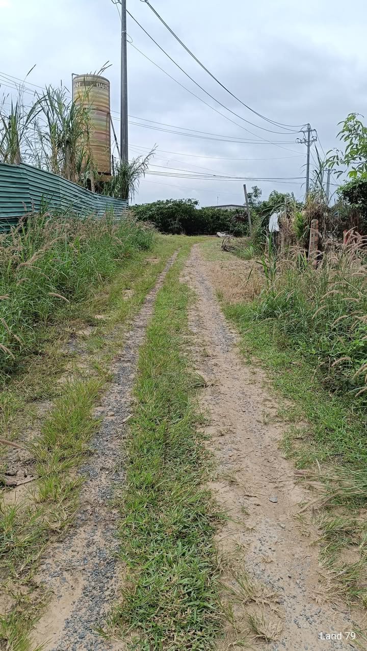 Đất Lộc Thái, Krông Năng 1252m² giá chỉ 290 triệu - Đầu tư sinh lời nhanh!