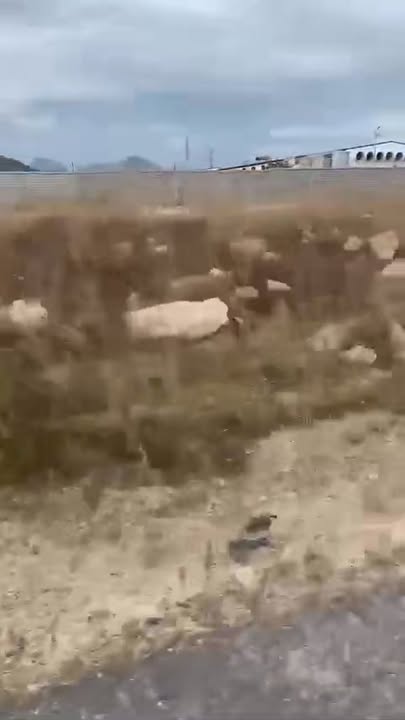 Đất nền 15ha tại Thuận Minh, Hàm Thuận Bắc - Cơ hội đầu tư hiếm có!