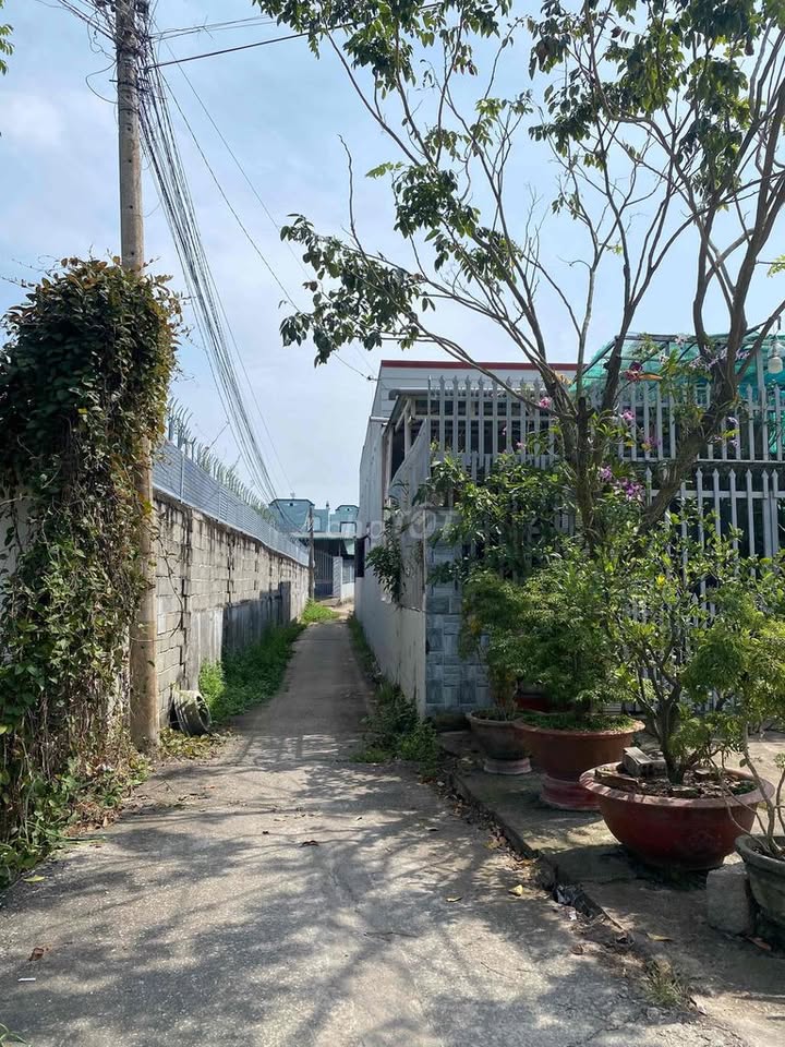 Đất thổ cư Phan Thiết 100m² giá 650 triệu - Cơ hội sở hữu ngay!