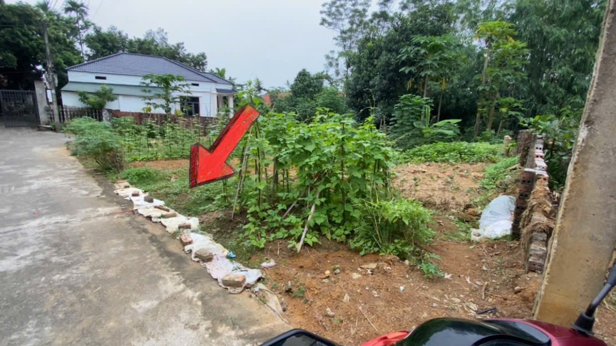 Đất nền khu phố 5 Thanh Đình, Việt Trì 108m² giá 1.1 tỷ - Đầu tư sinh lời ngay!