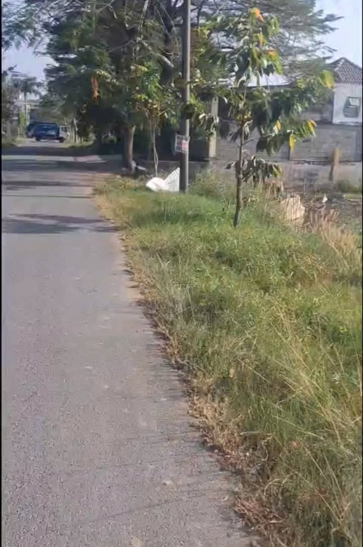 Đất thổ cư 125m² Mỹ Hạnh, Đức Hòa - Kinh doanh sầm uất chỉ 1,5 tỷ!