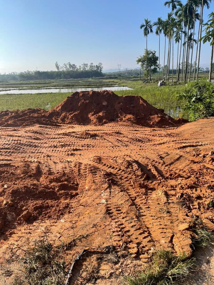 Đất vườn Tam Phước 620m² giá 760 triệu - Cơ hội đầu tư hấp dẫn!