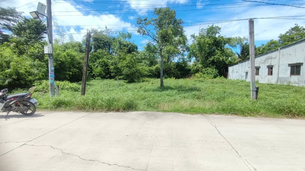 Đất nền 330m² xã Mỹ Hạnh, Đức Hòa - Sổ đỏ chính chủ giá 2.4 tỷ