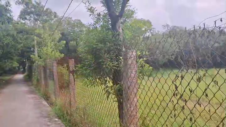 Đất nền Phú Phong, Châu Thành, Tiền Giang 140m² giá 375 triệu - Sổ đỏ chính chủ!