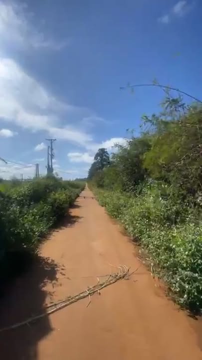 Đất nền Chi Lăng, Pleiku 20.000m² giá 6 tỷ - Đầu tư sinh lời ngay!